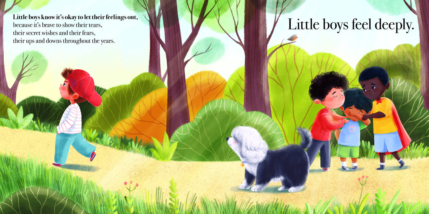 What Little Boys Are Made Of Book