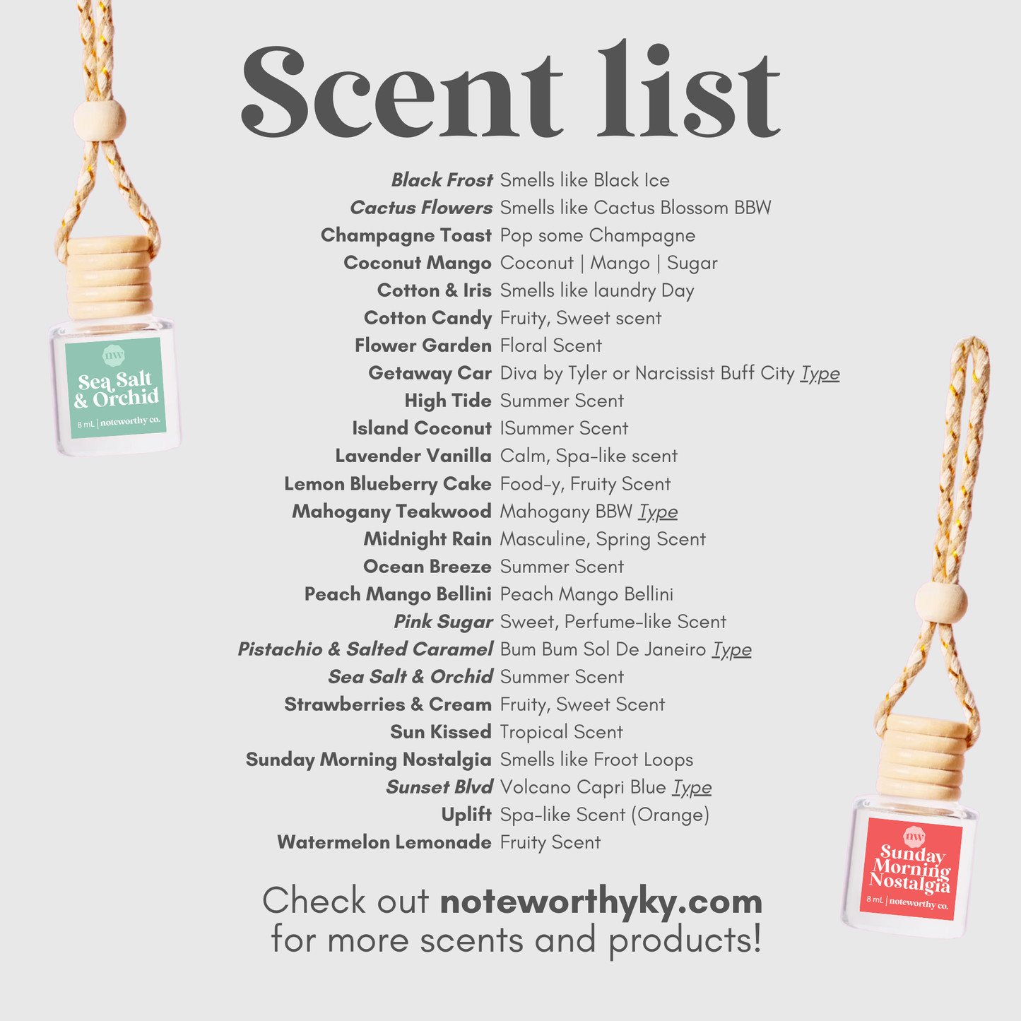 Noteworthy Co - Car Diffusers | Core Scents (2025)